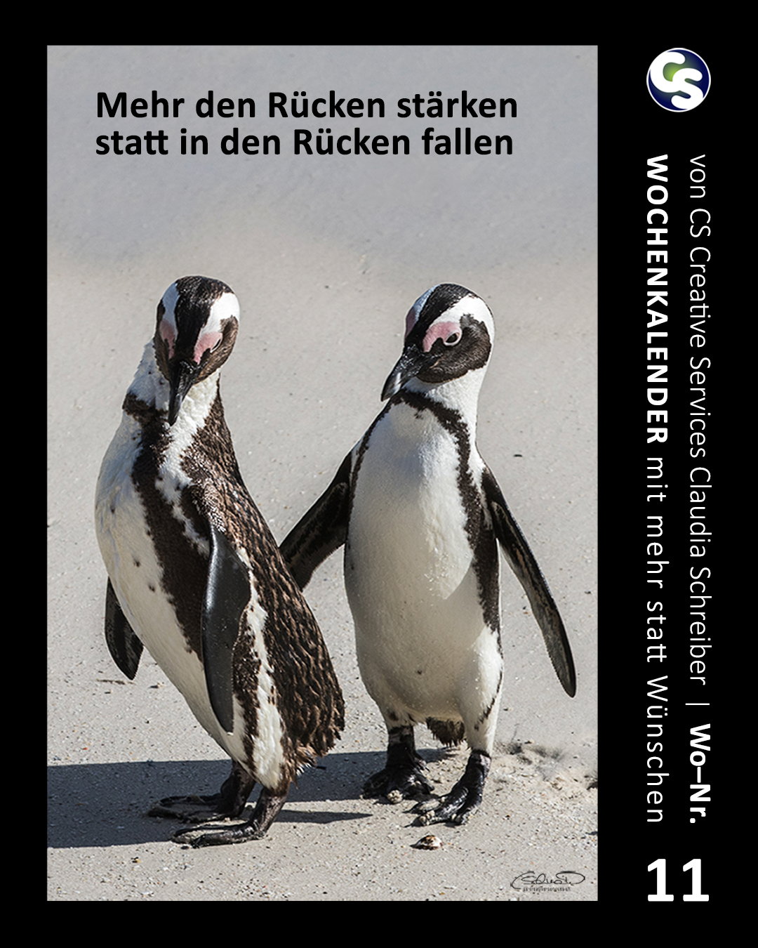 11 Wochenkalender