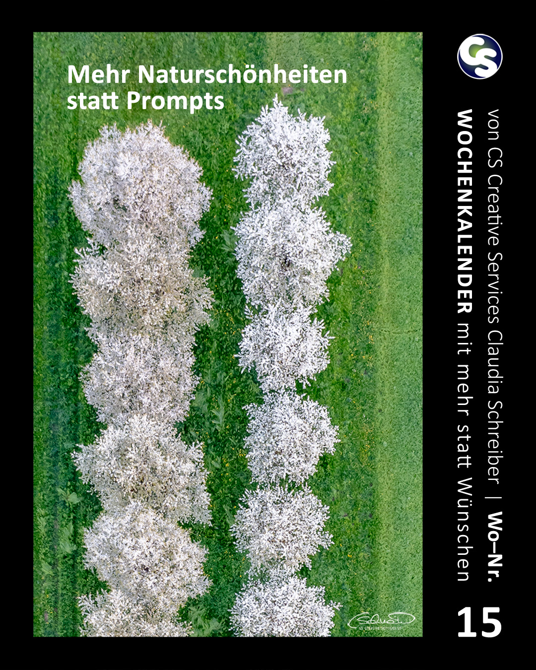 15 Wochenkalender