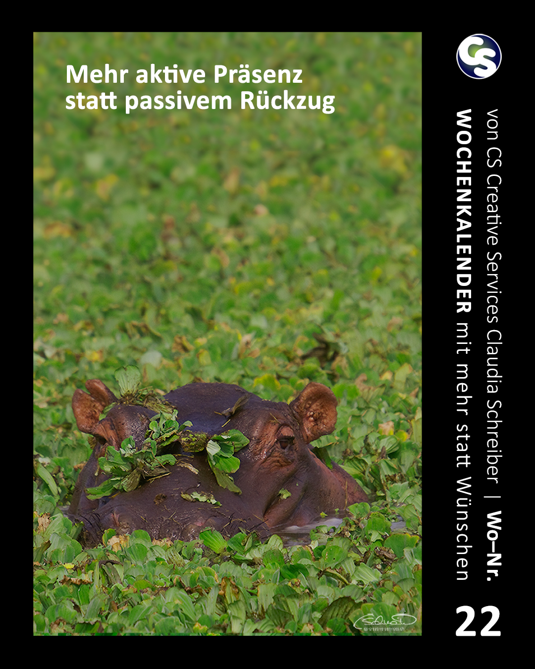 22 Wochenkalender