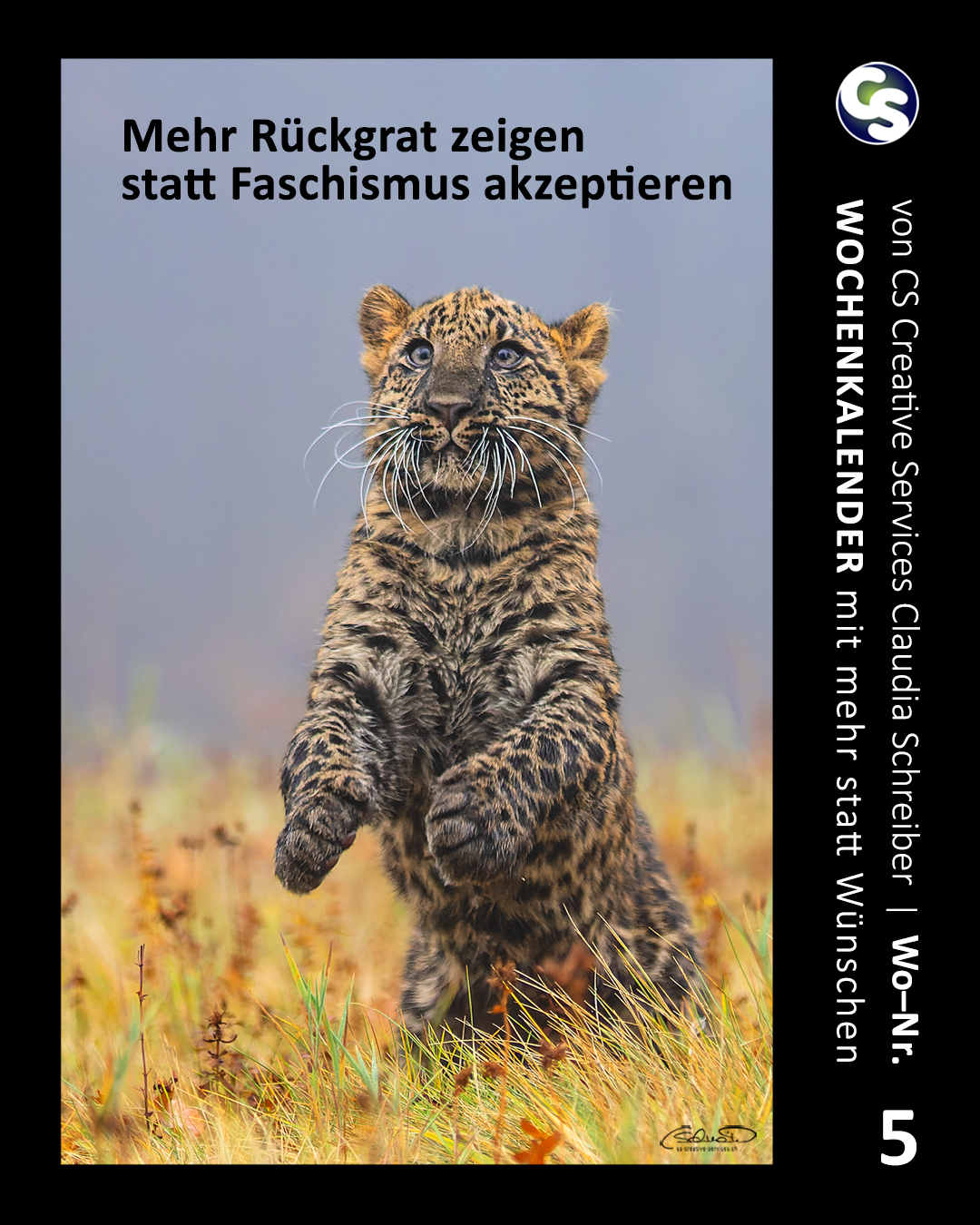 5 Wochenkalender