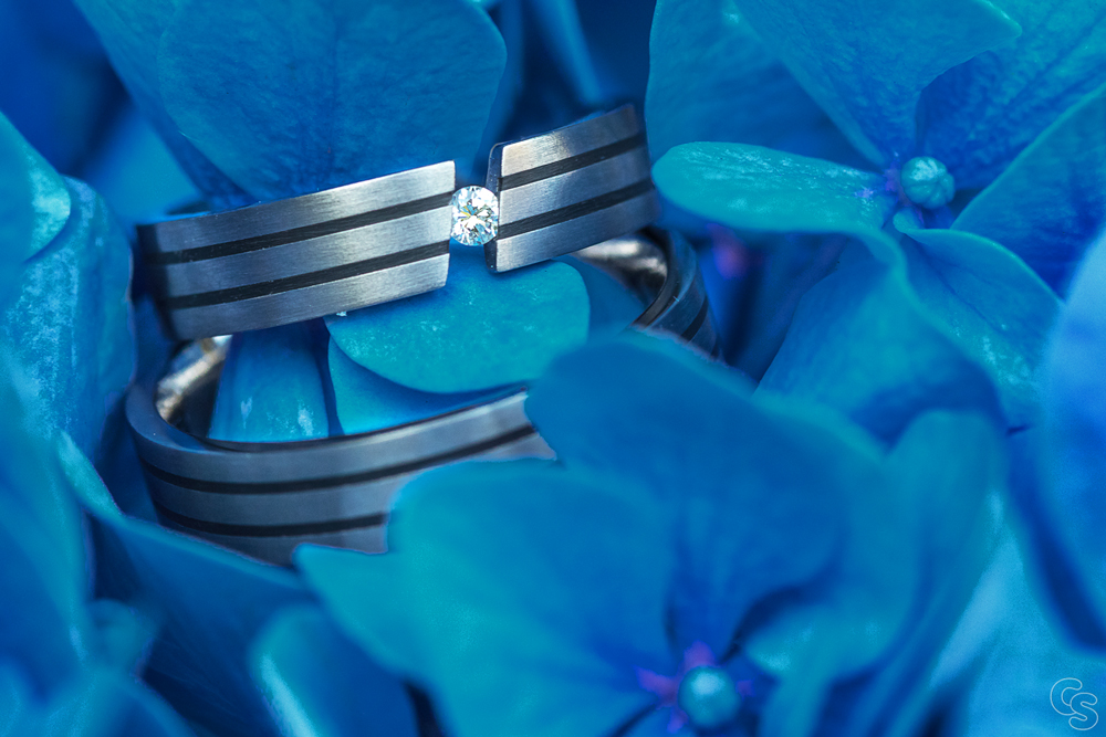 Ring auf blauer Hortensia