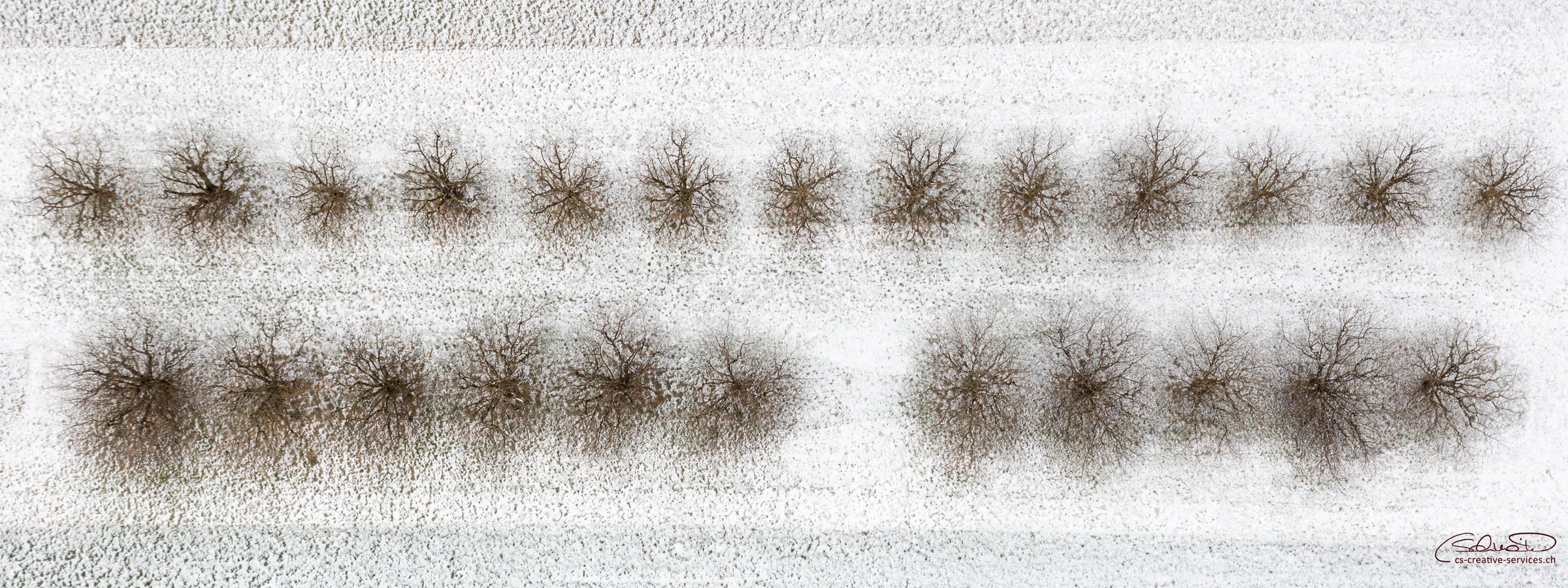 Kirsi Winter26 0688 2400